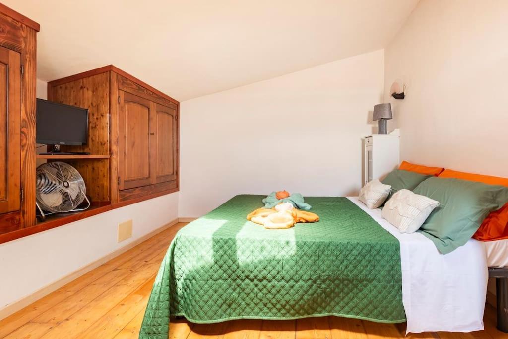 Casa Nel Corso Apartment Pitigliano Exterior photo